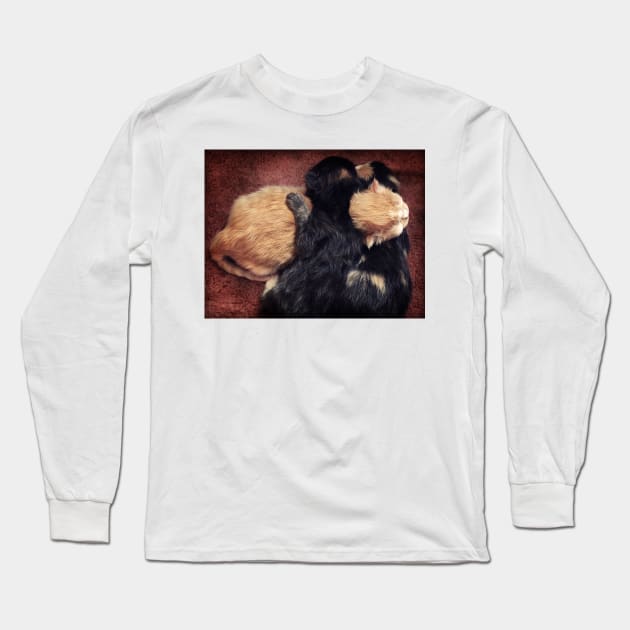 Kitten Cuddle Long Sleeve T-Shirt by micklyn